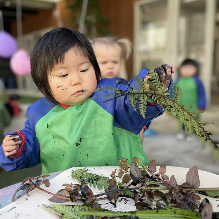 Outdoor Natural Resources play at Busy Bees Apollo Rosedale Albany Childcare 