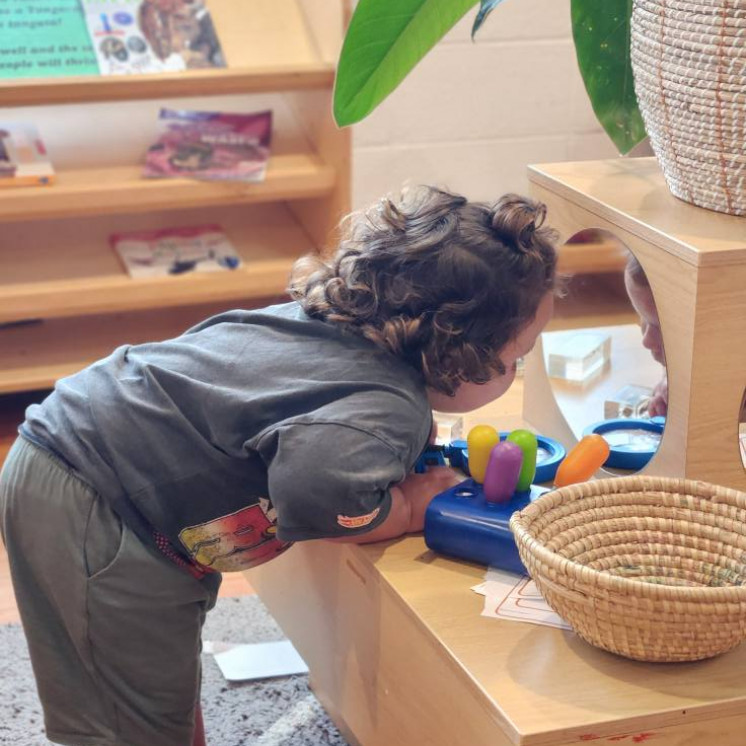 Discovery and wonder everyday at Busy Bees Gladstone Road