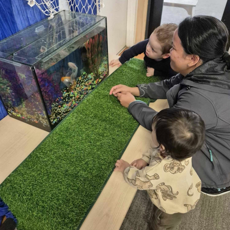 Busy Bees Gladstone Road engaged teachers and centre pet fish