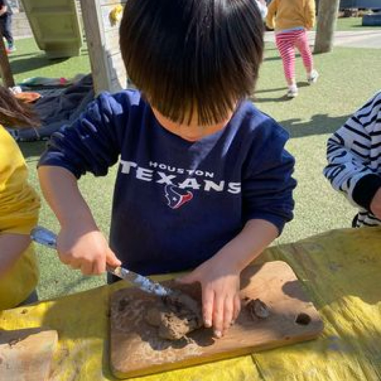 Busy Bees Hobsonville Early Learning Centre