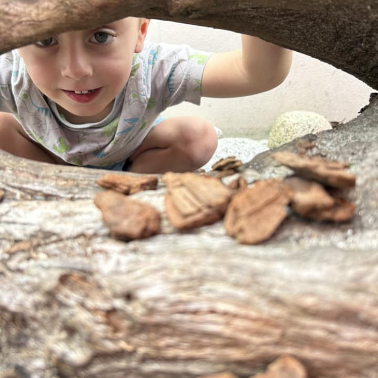 Peek-a-boo in nature at Busy Bees Kawatiri