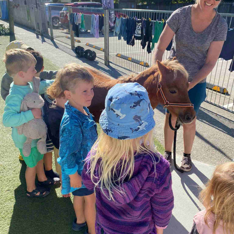 Busy Bees Mapua benefiting from local relationships