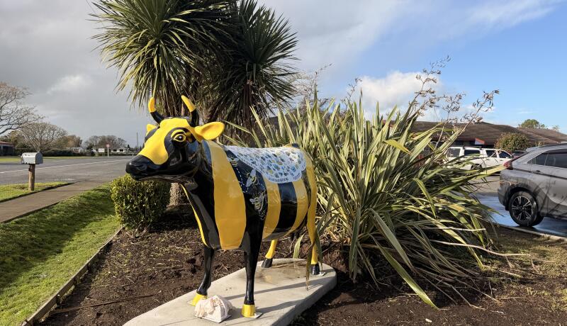 Busy Bees Morrinsville