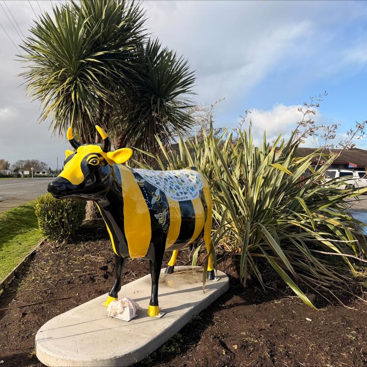 Busy Bees Morrinsville (2)