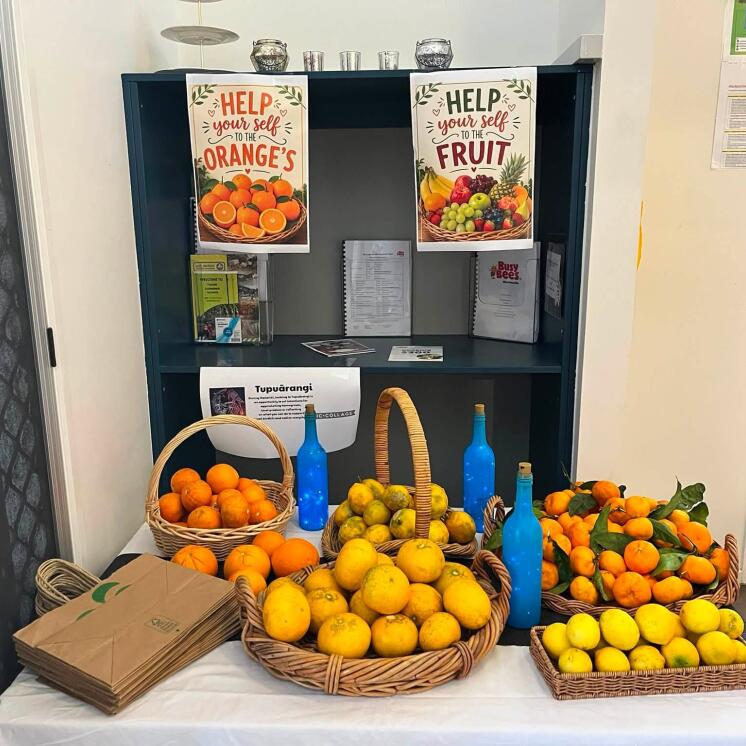 Busy Bees Morrinsville Vege (1)