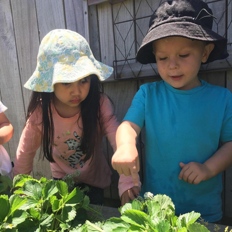 Caring for nature in kindergarten at Busy Bees New Plymouth 