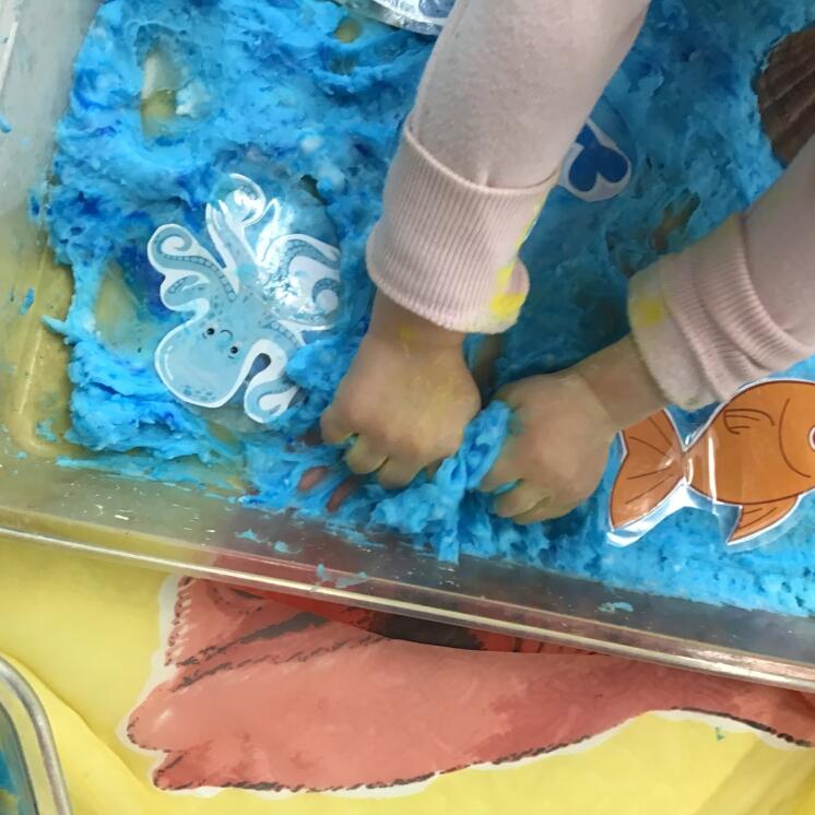 Ocean week celebrations for tamariki at Busy Bees Onehunga