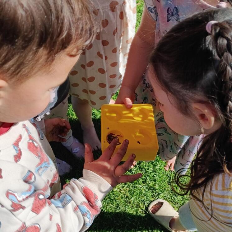 Busy Bees Putaruru childcare centre toddlers outside exploring the nature