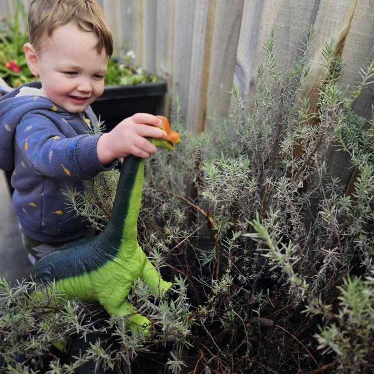 Nature gardening at Busy Bees Te Kauwhata