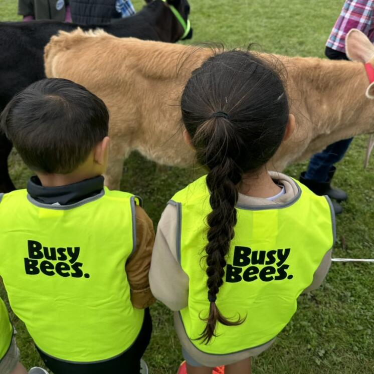 Busy Bees Te Kauwhata (4)
