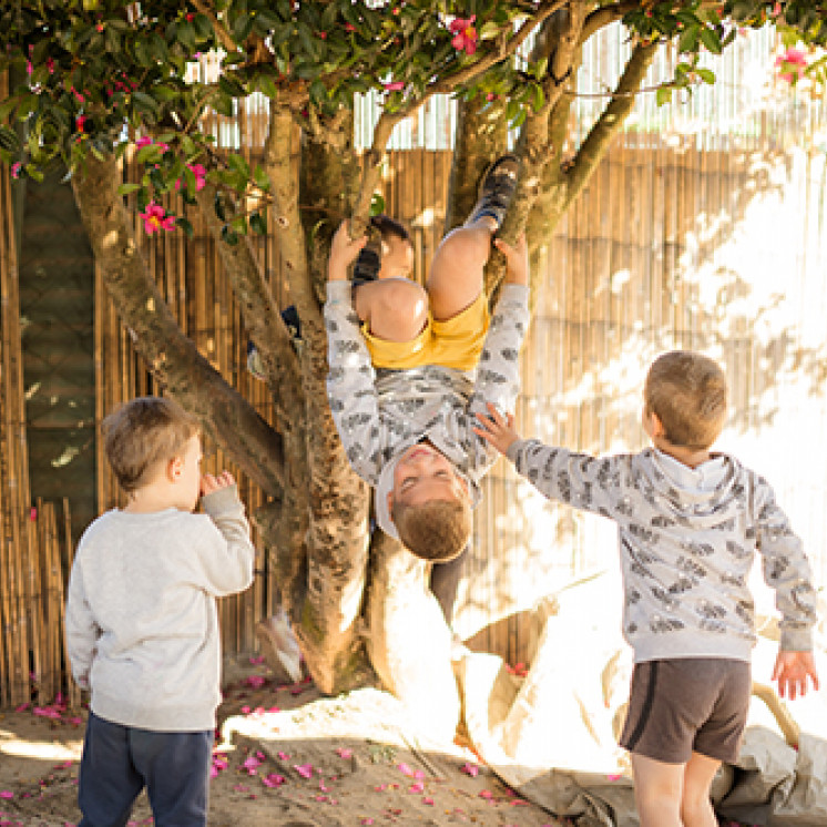 hanging upside down in trees at Busy Bees Western Heights