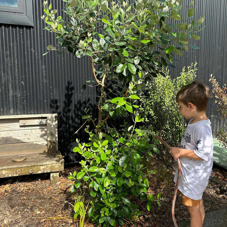 Watering gardens at House of Wonder Cambridge childcare