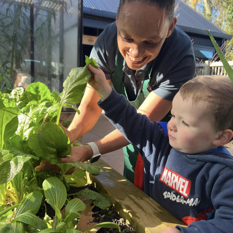 House of Wonder Cambridge childcare - Vegetable Garden 