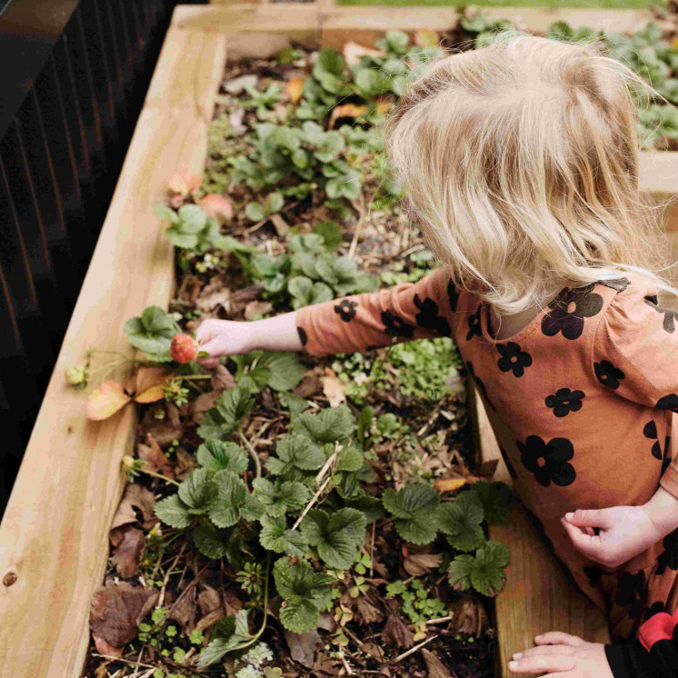 Gardening at House of wonder cambridge