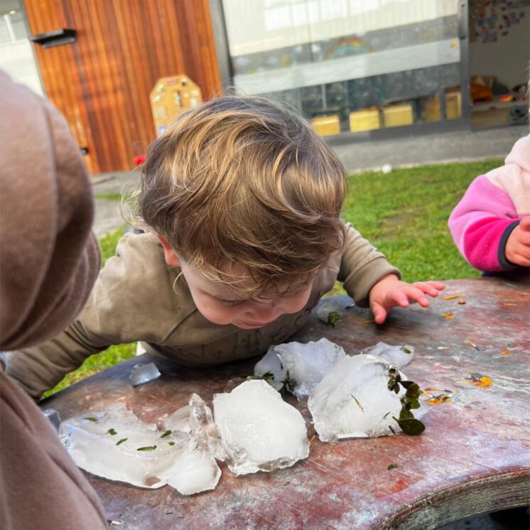 House of Wonder Forest lake pepi room outdoor sensory playy (4)