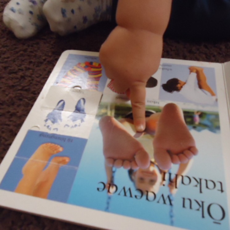 Te Puna Reo Te Waonui a Taane literacy development